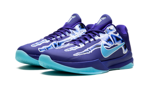 Zoom-Kobe-5-Protro-X-Ray